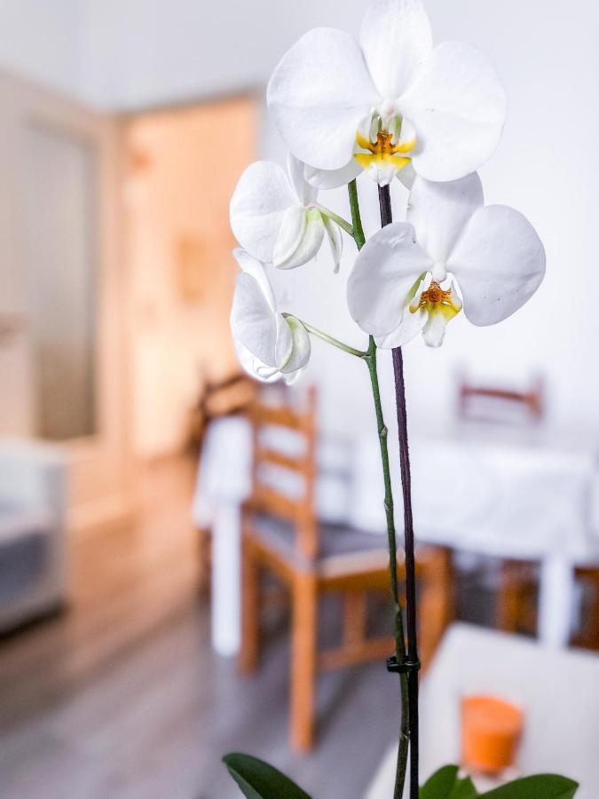Myhouse Inn Marche - Affitti Brevi Italia Turín Exteriér fotografie
